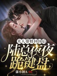 夫人带娃回国后,陆总夜夜跪键盘