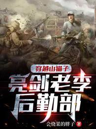 穿越山猫子,亮剑老李后勤部