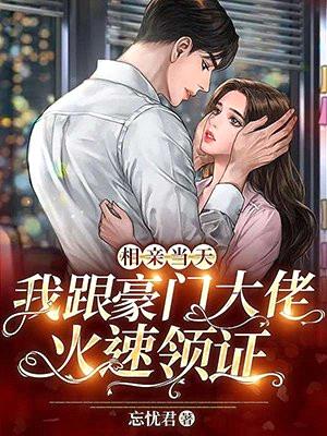 相亲当天,我跟豪门大佬火速领证