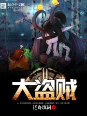 大盗贼(网游之大盗贼)